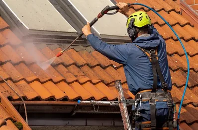 Démoussage et hydrofuge de toiture à Tanneron